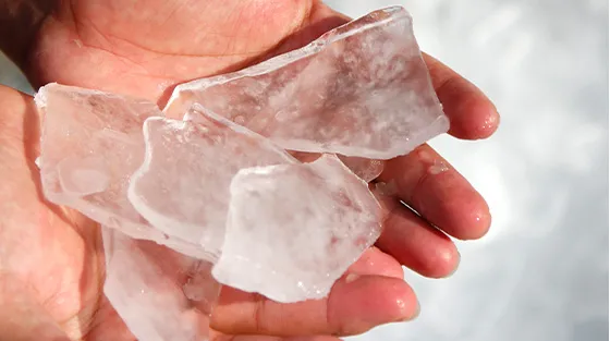 Guangzhou Daxtro  Refrigeration