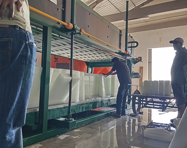 Government Fishery Bureau 10TPD Block Ice Project